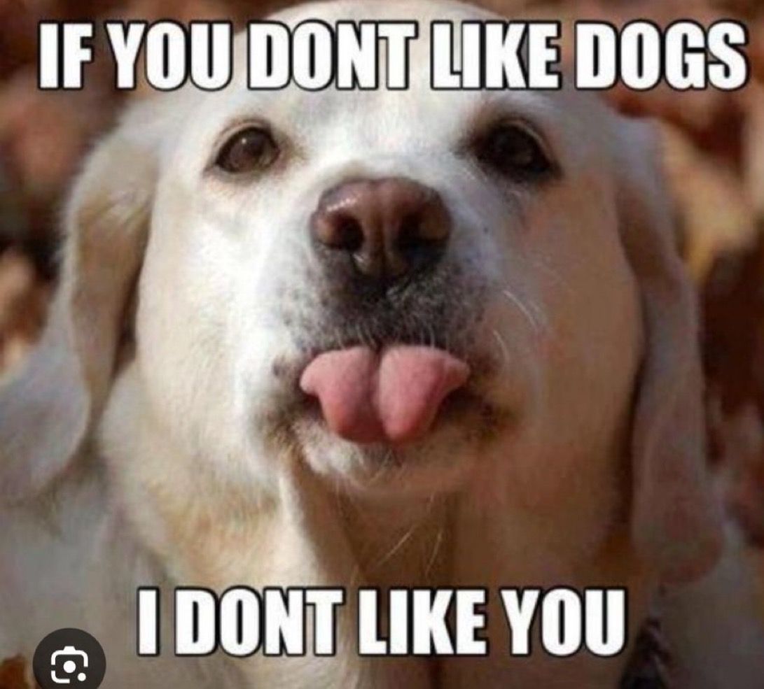 Simon_Scissorhands tweet media