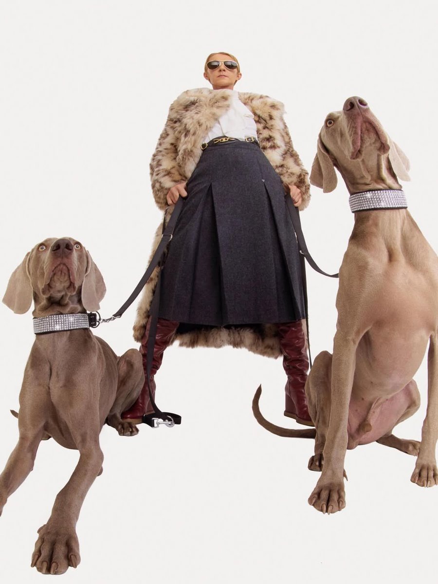 Fabricee tweet media