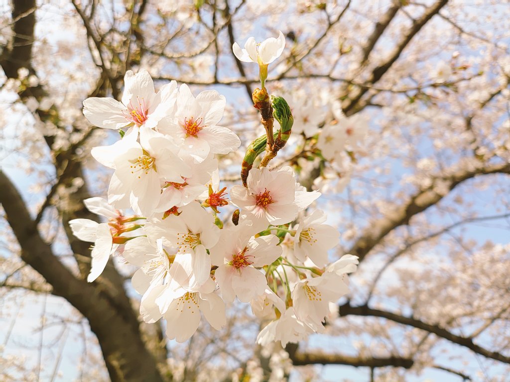 riria009＠しのゆ tweet media