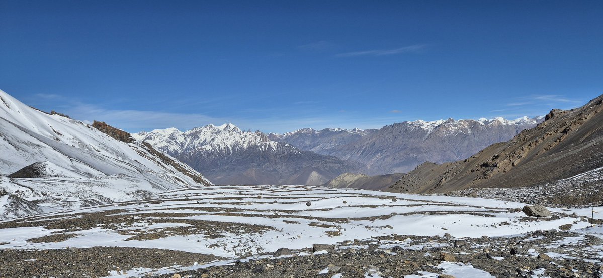 Remco Ploem tweet media