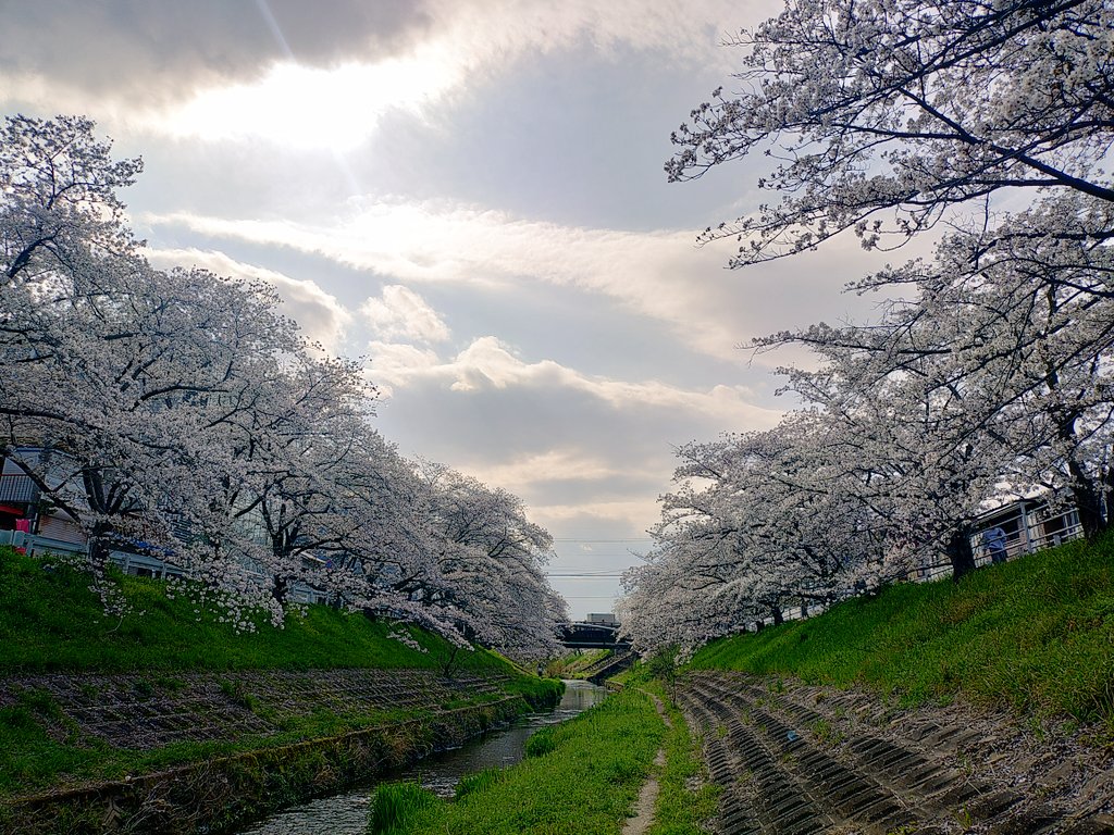 riria009＠しのゆ tweet media