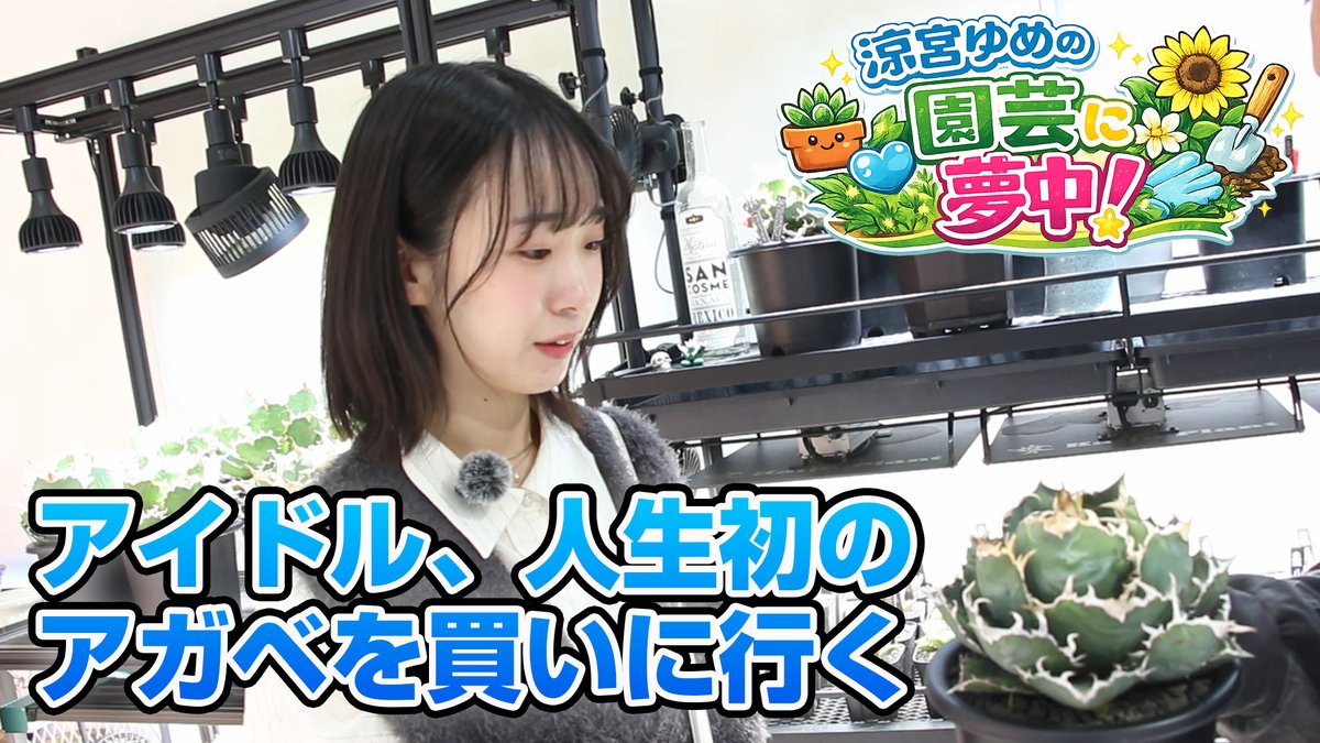 気まぐれモンスター tweet media