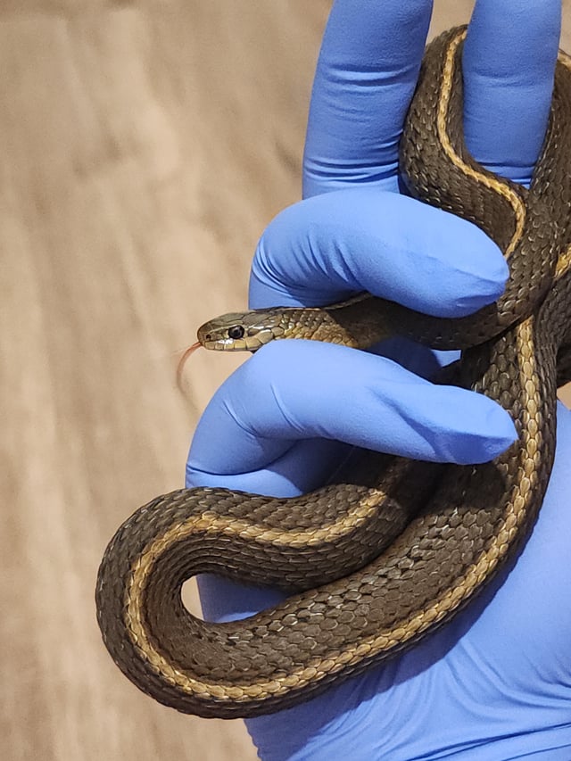 ʀᴜᴅʜʀᴀ ʏᴀᴅᴀᴠ🇮🇳 tweet media