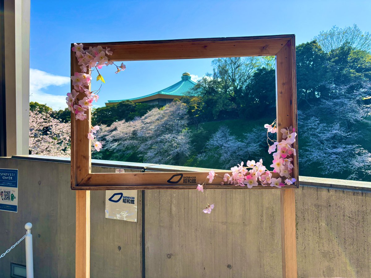 ほの໒꒱· ﾟ tweet media