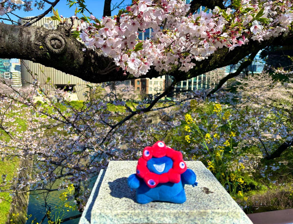 ほの໒꒱· ﾟ tweet media