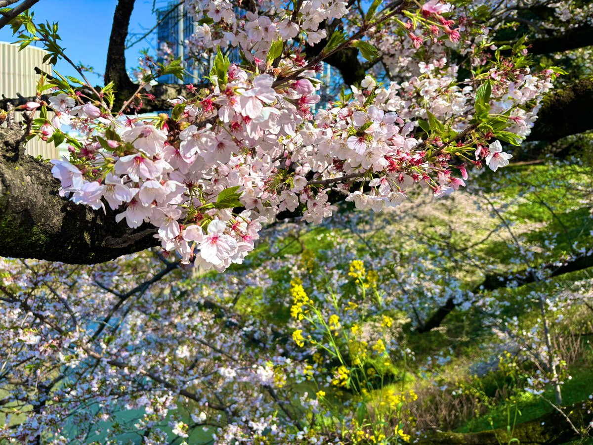 ほの໒꒱· ﾟ tweet media