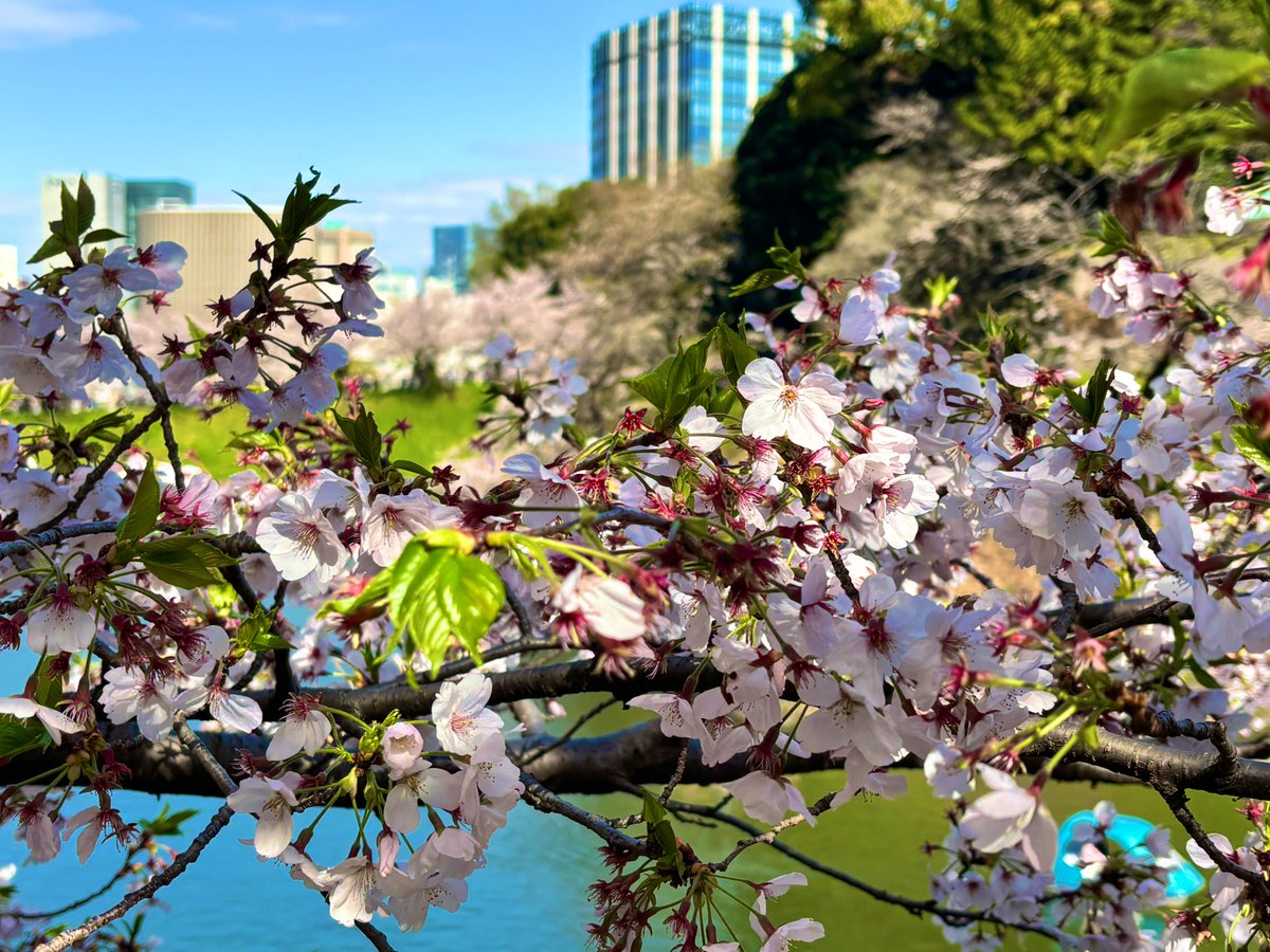 ほの໒꒱· ﾟ tweet media