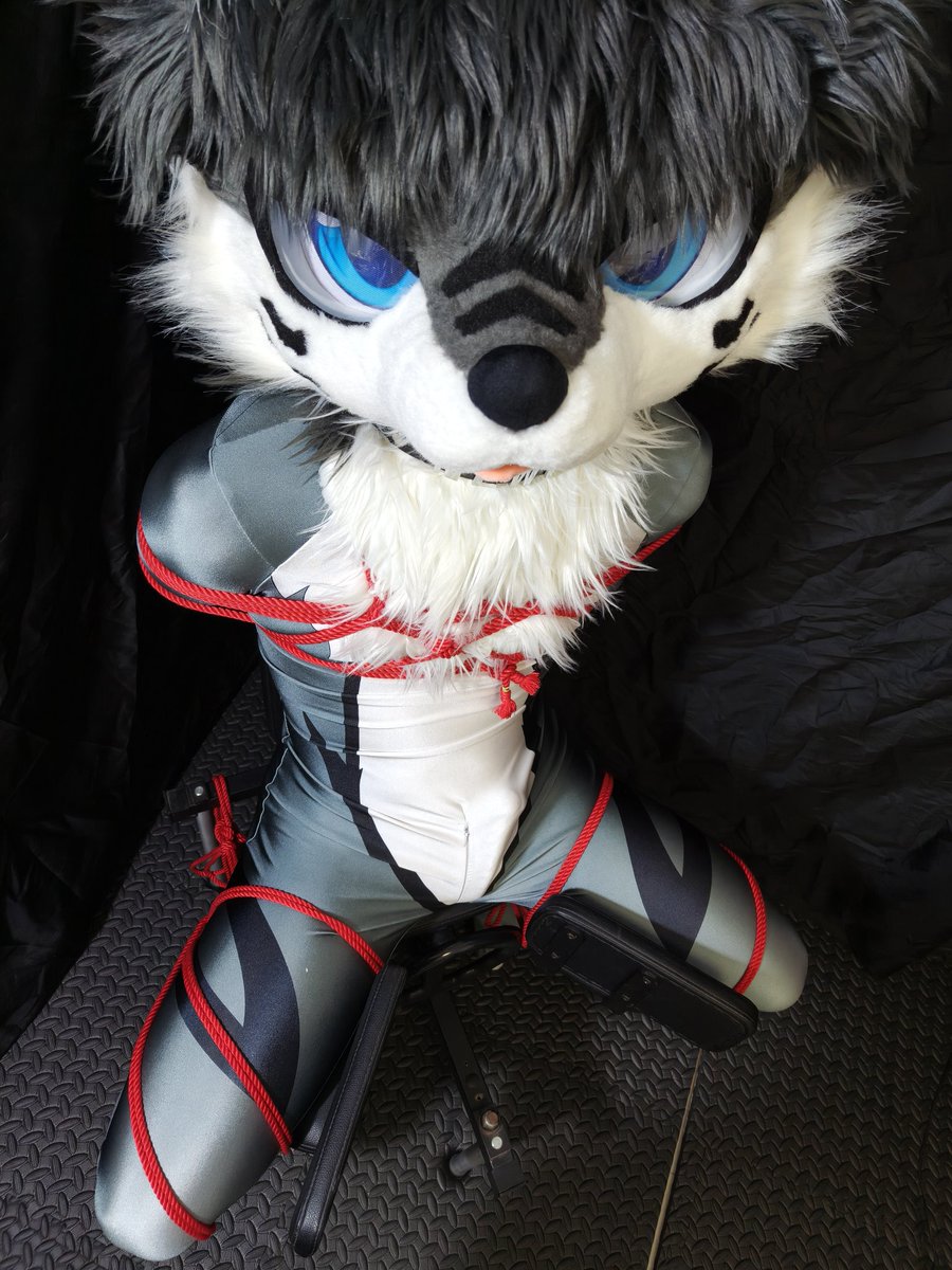 纽特又又又困了 tweet media