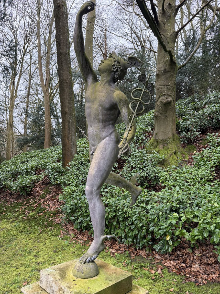 Visio Smaragdina tweet media