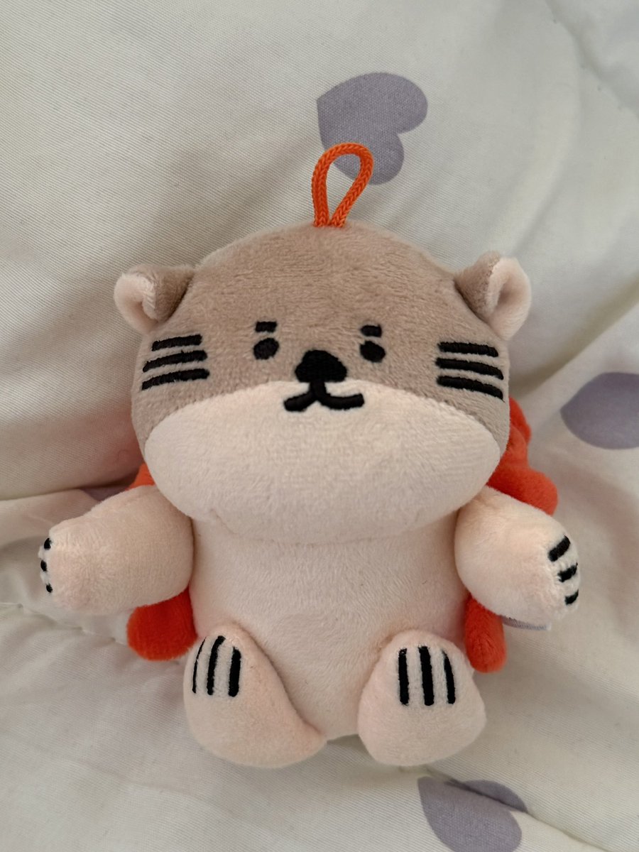 ‎꒰ঌ 𝐵𝑎𝑏𝑦 𝒮𝑒𝒶 ໒꒱ ˚₊ 🐈‍⬛🎀 ₊˚ෆ tweet media