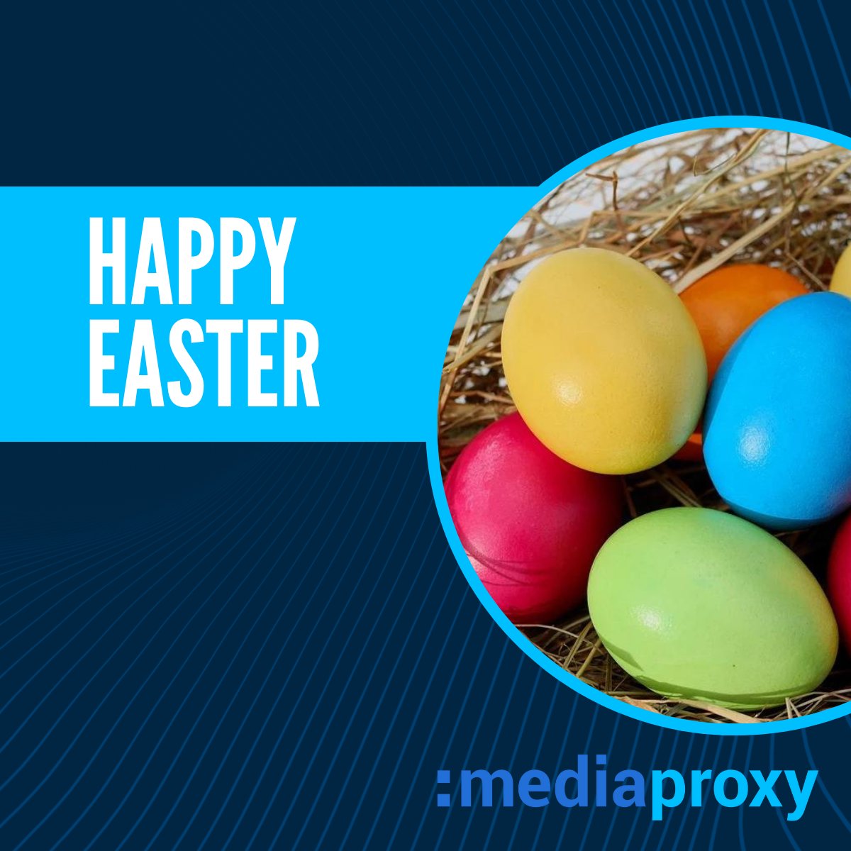 Mediaproxy tweet media
