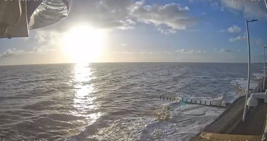 Yorkshire Victor Meldrew+his dog tweet media