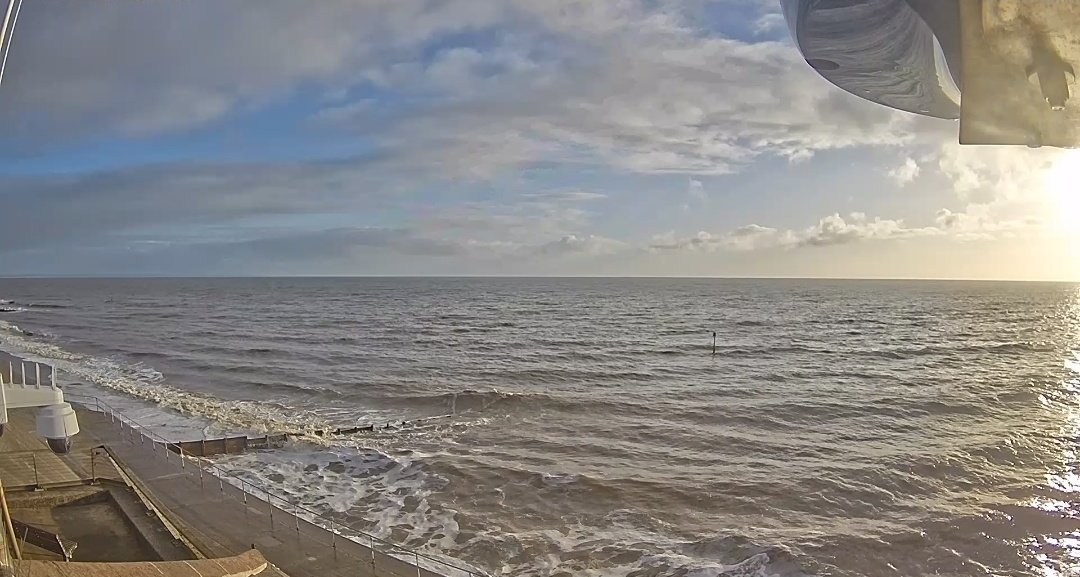 Yorkshire Victor Meldrew+his dog tweet media