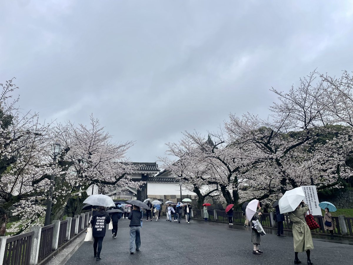 みぃやん (旧+みぃ+です) tweet media