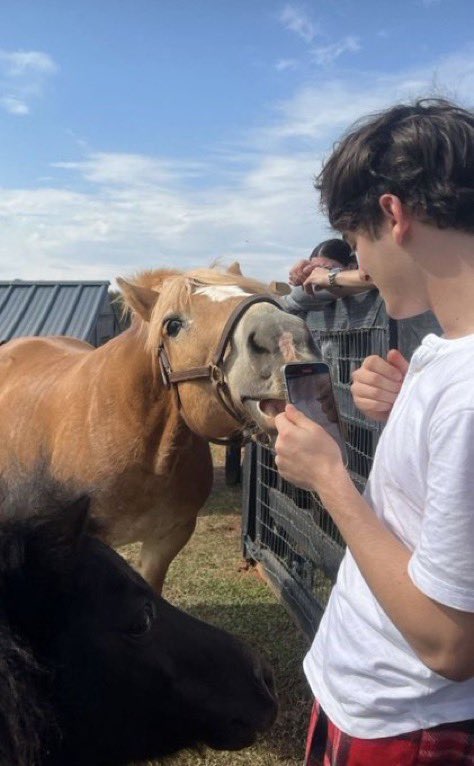 Mama🐰 tweet media