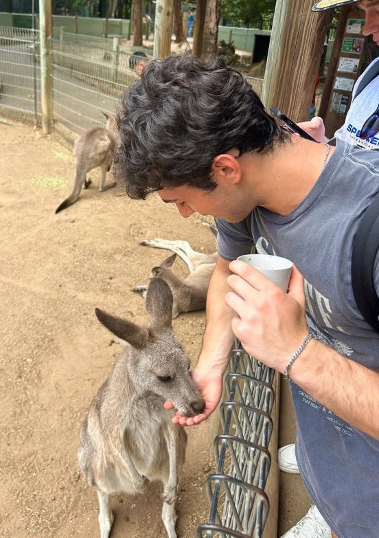 Mama🐰 tweet media