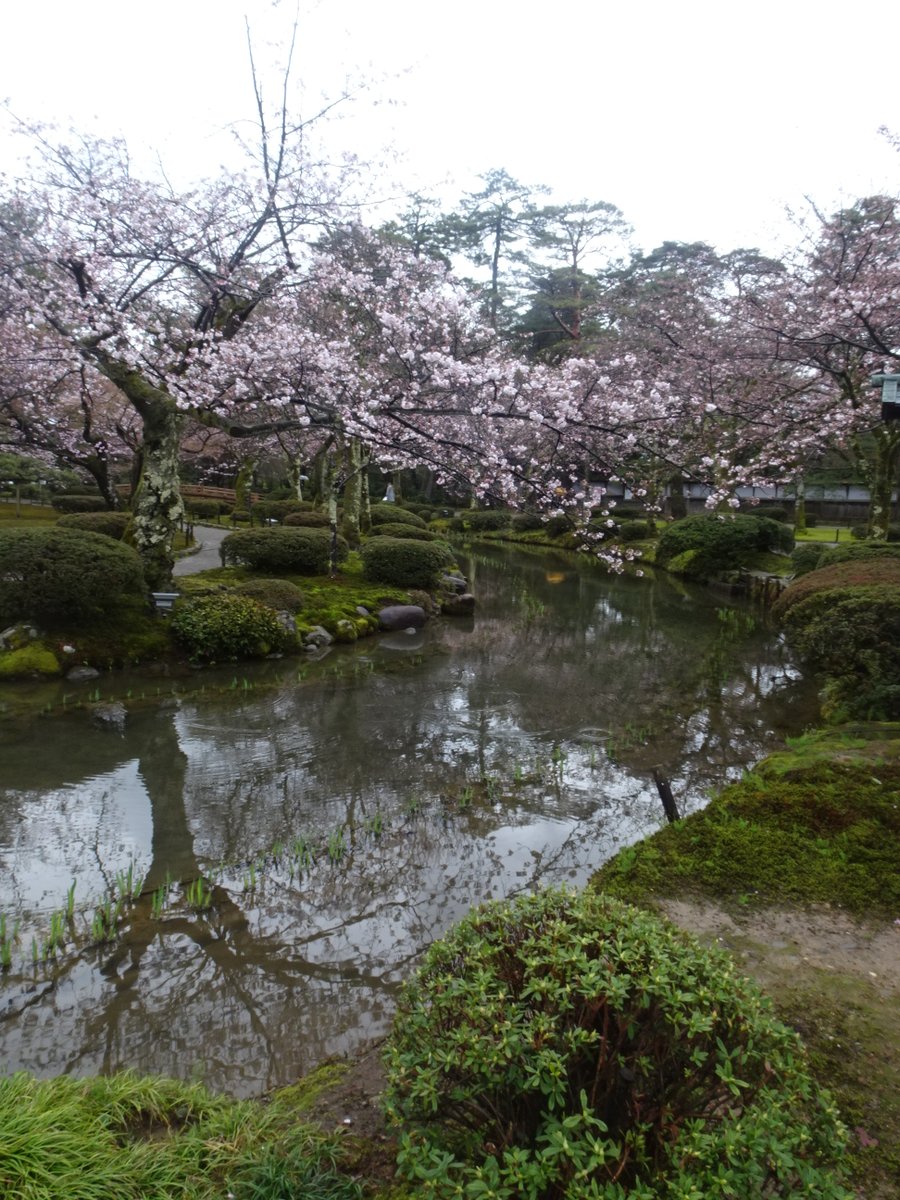 ころけろ tweet media