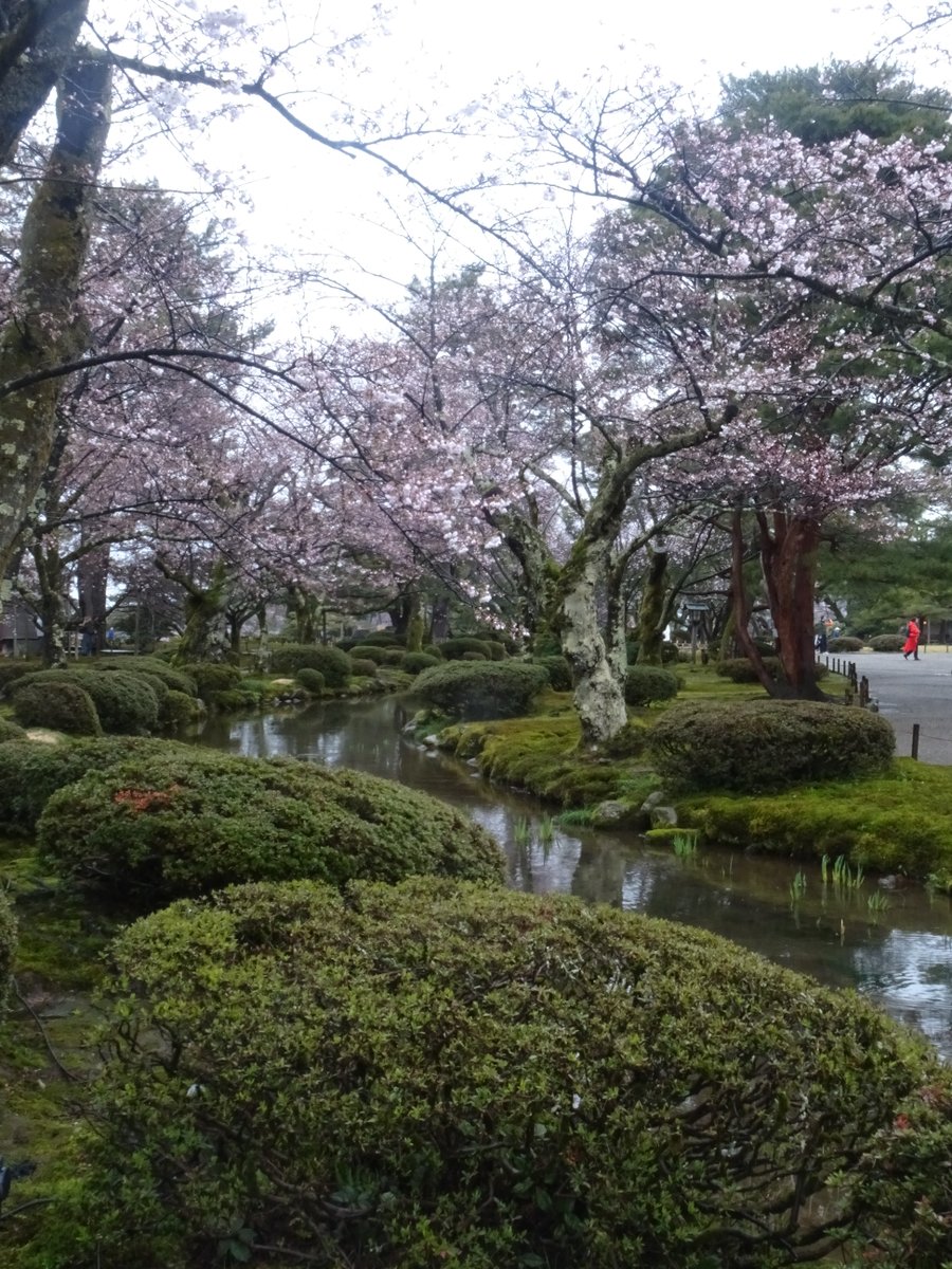 ころけろ tweet media