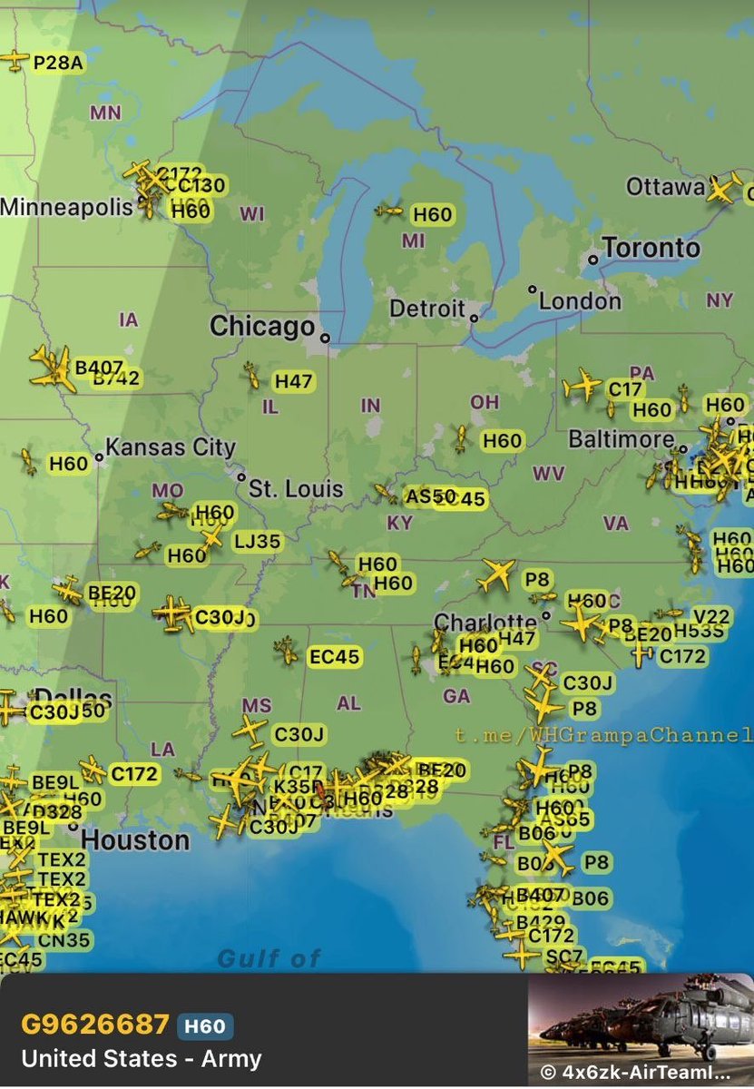 Tina Zimmermann tweet media