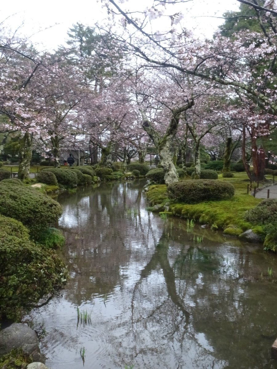 ころけろ tweet media