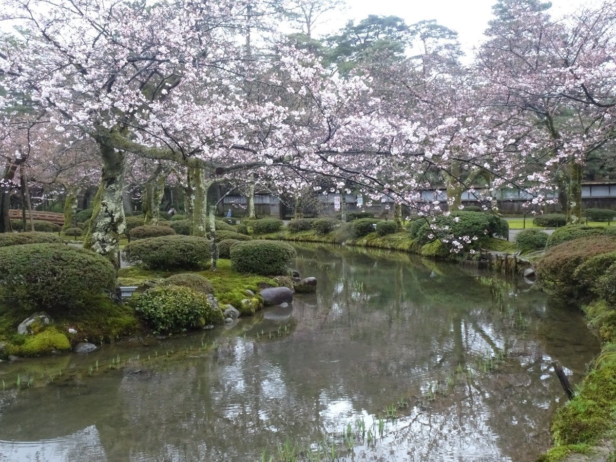 ころけろ tweet media