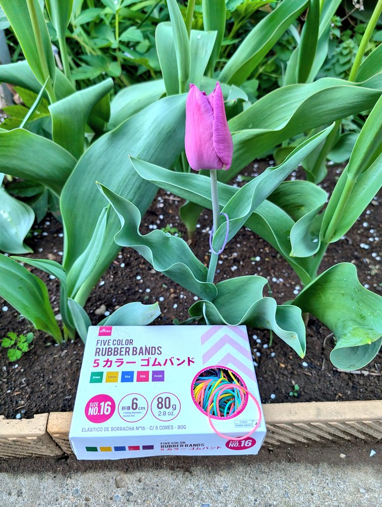 しまど/simadjp tweet media