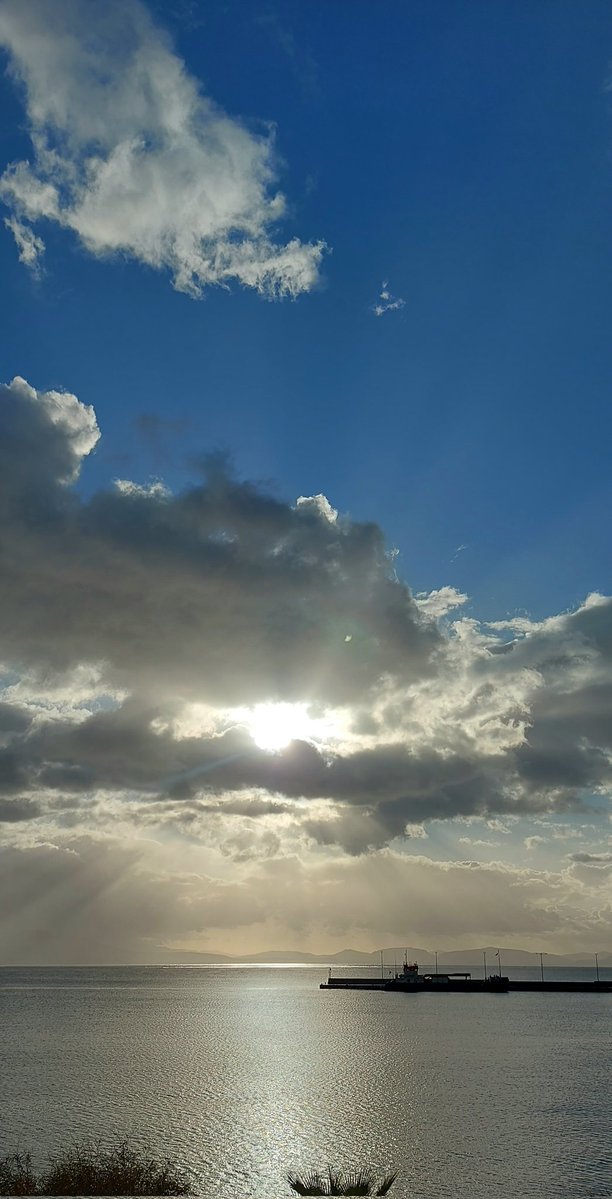 vasilis p tweet media