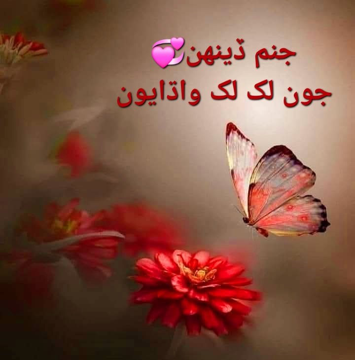 جنم ڏينهن مبارڪ 🎊 ❤️‍🩹 🥳 🎂🎉
#HBDSaeedSangri