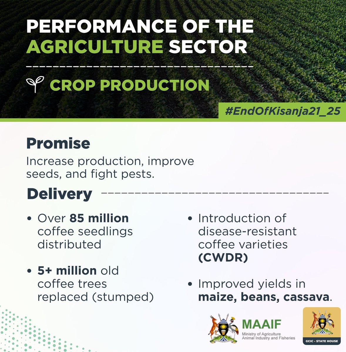 GideonSsekidde's tweet photo. @MAAIF_Uganda Uganda is on it. Boosting farmer incomes with better animal health, expanded vaccination, top-notch seeds & bigger yields . Farming just got a whole lot brighter.#GoldenPost @GcicAgriculture @GCICUganda #FarmingUganda @UCC_ED #ProsperityForAll https://t.co/pN0uKput4w