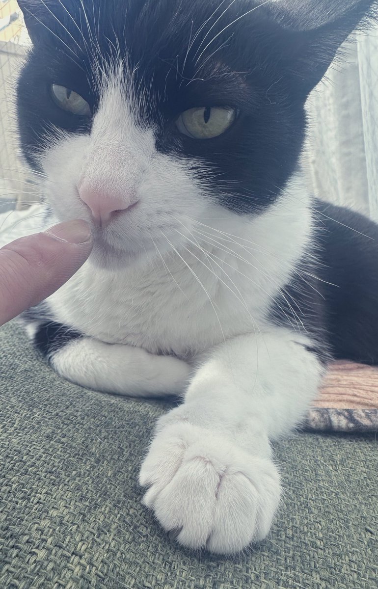 Tomoya 二人目のジャイアン🎷 tweet media