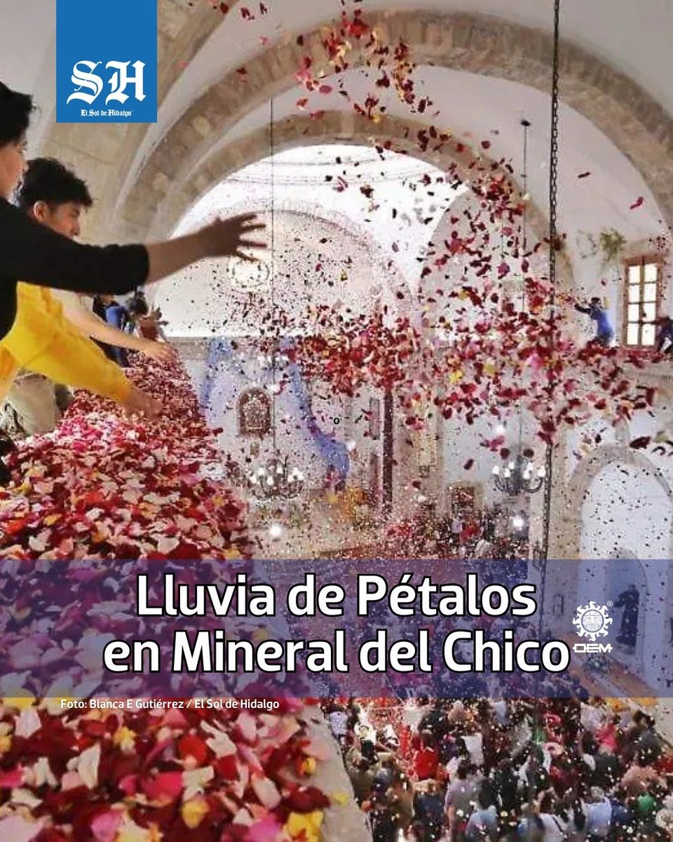 El Sol de Tulancingo tweet media