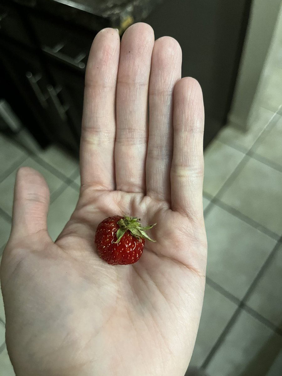 Dee |-/🌻 tweet media