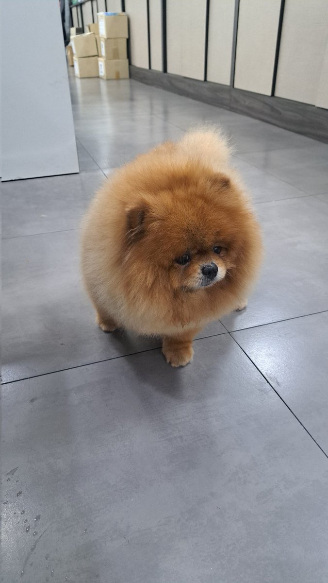 แม่น้องเจี๋ยมเจี่ยม tweet media