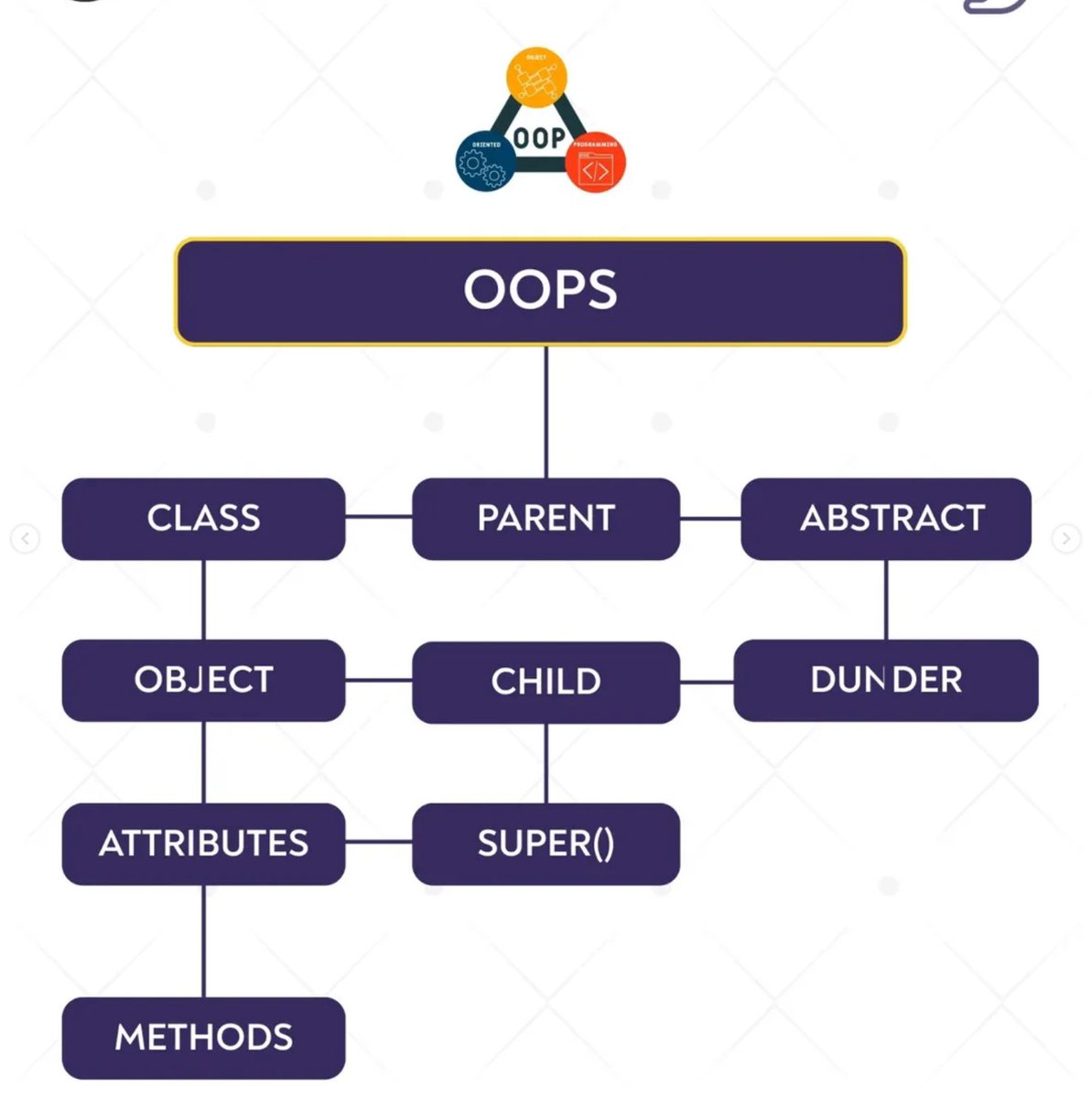 Python Developer tweet media