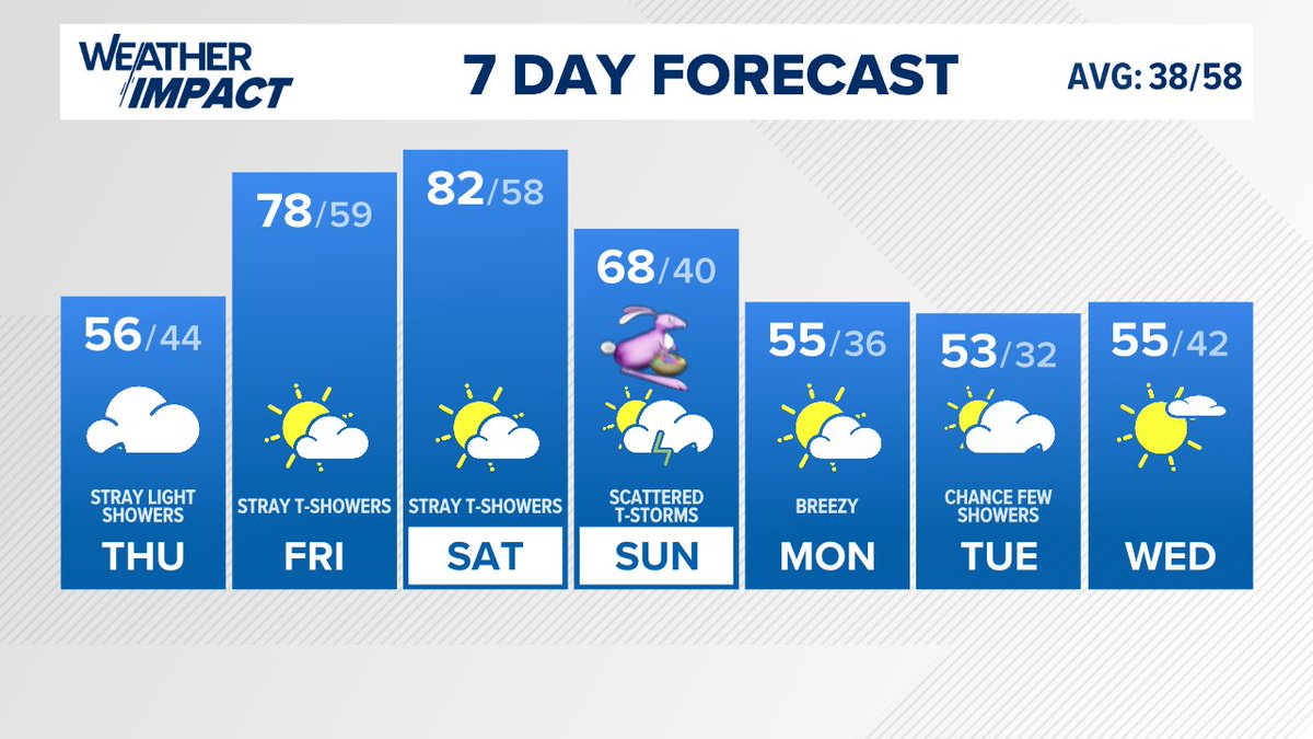 Andrea Michaels tweet media