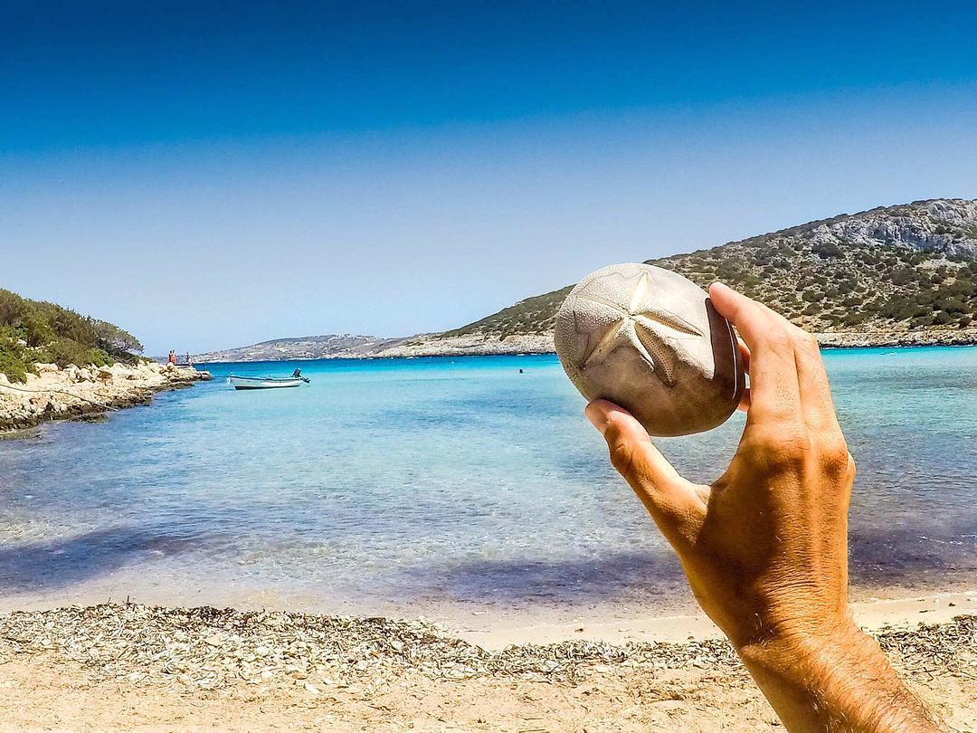 VisitLipsi's tweet photo. A quiet moment in Lipsi that feels like summer distilled.
 
Crystal clear waters, a boat rocking gently in the bay, and the simple   beauty of a sea urchin shell found along the shore.

#Repost @bilou__leloup
 
#visitlipsi #Lipsi #pointsofview #dodecanese #visitgreece https://t.co/NVumhdOfHe