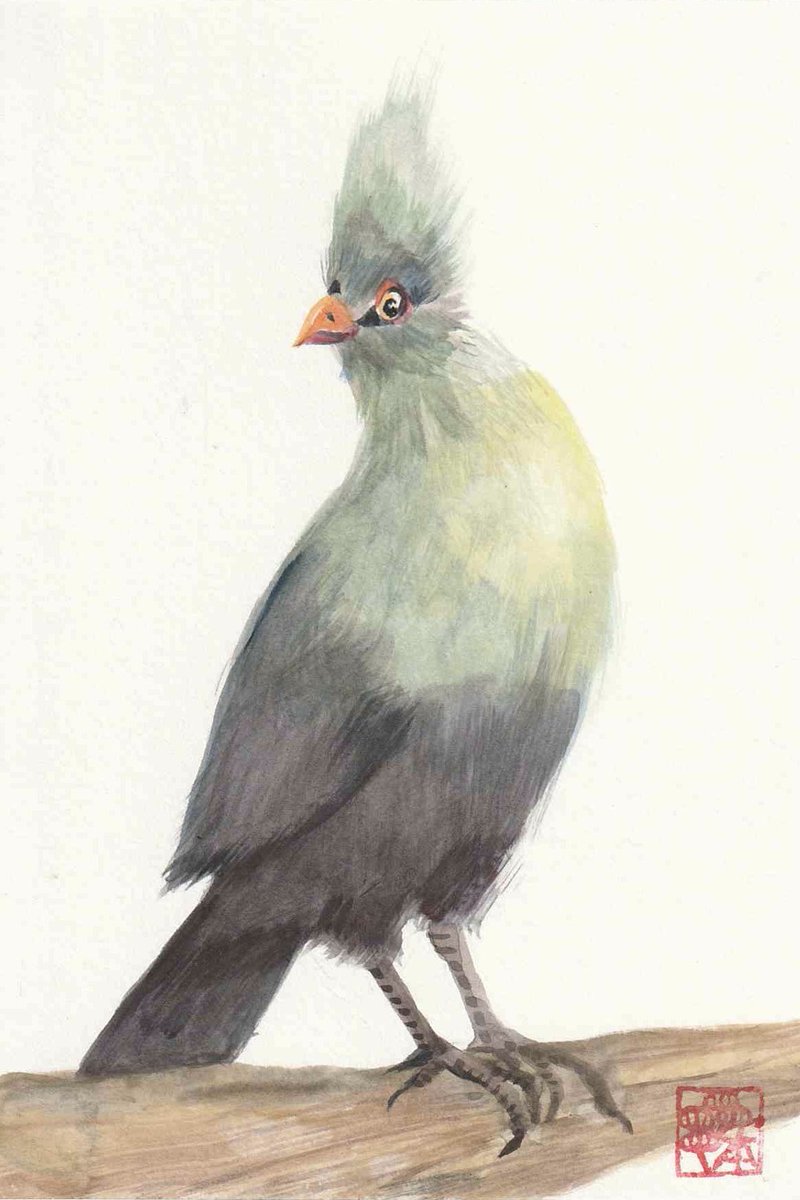 松本亮平 tweet media