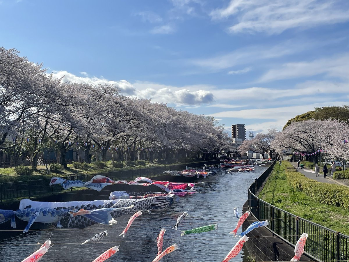 ぐんみに tweet media