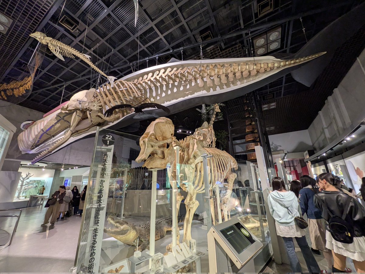 BUBBLE-B tweet media