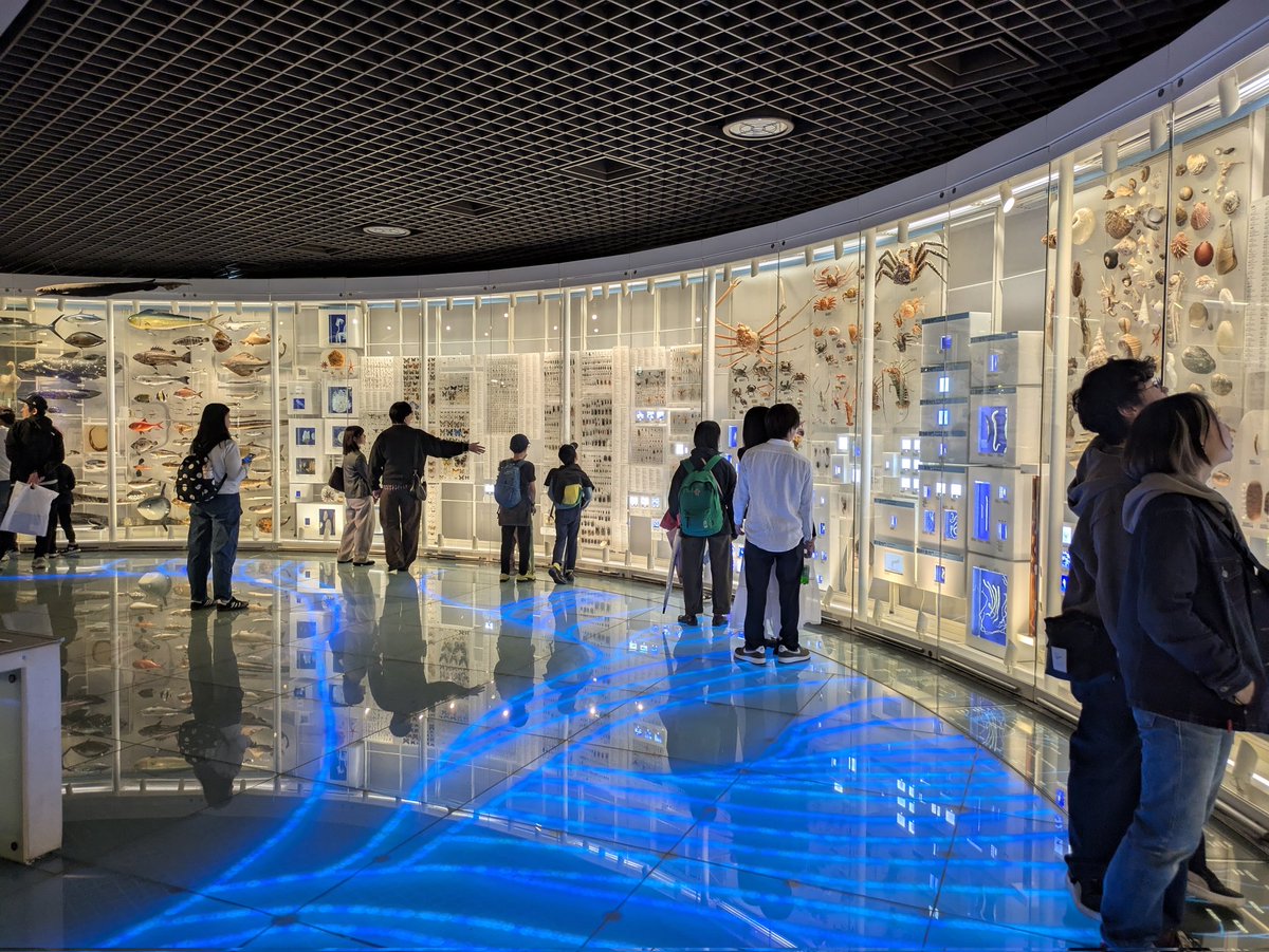 BUBBLE-B tweet media