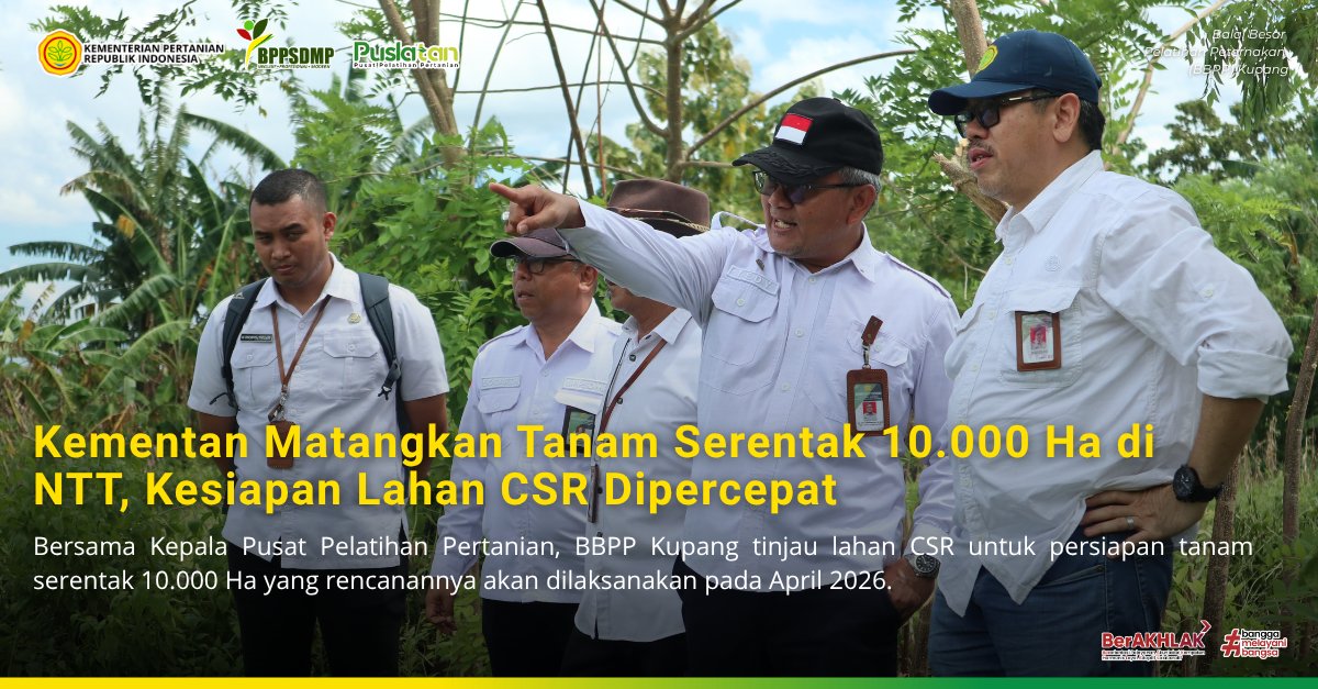 bbppkupang's tweet photo. Adapun fokus utama dalam peninjauan meliputi evaluasi kesuburan tanah dan kebutuhan pupuk spesifik lokasi, kesiapan infrastruktur pengairan, serta penguatan koordinasi dengan kelompok tani dalam penerapan teknologi pertanian modern di lahan CSR. https://t.co/plQYpeM1G3
