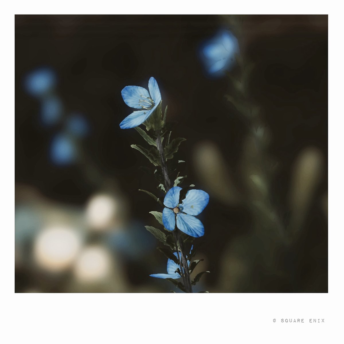 二日月 tweet media