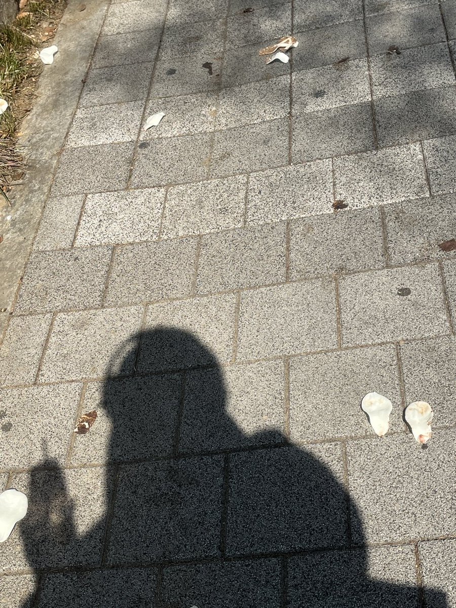 badvillain media tweet media