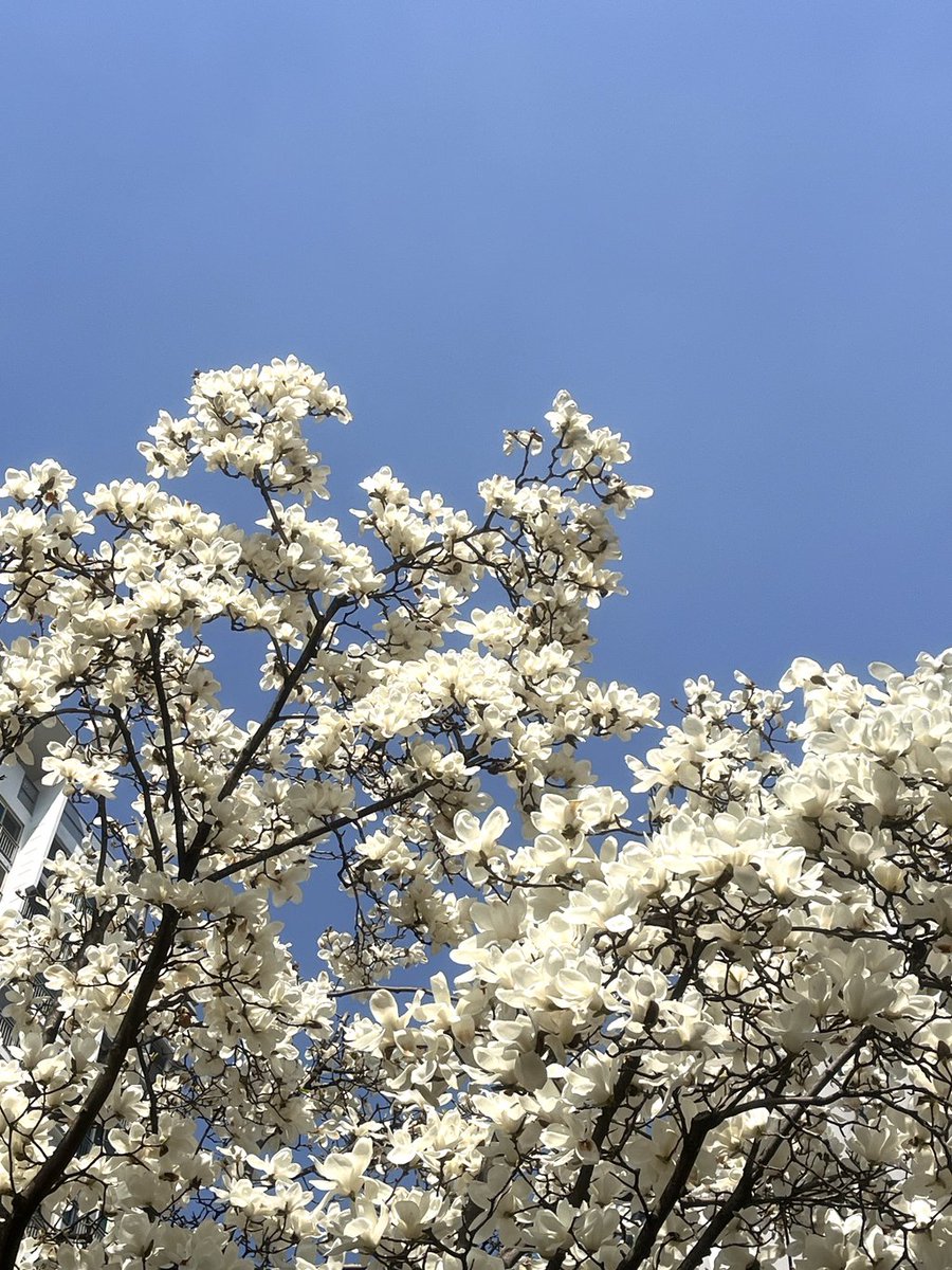 badvillain media tweet media