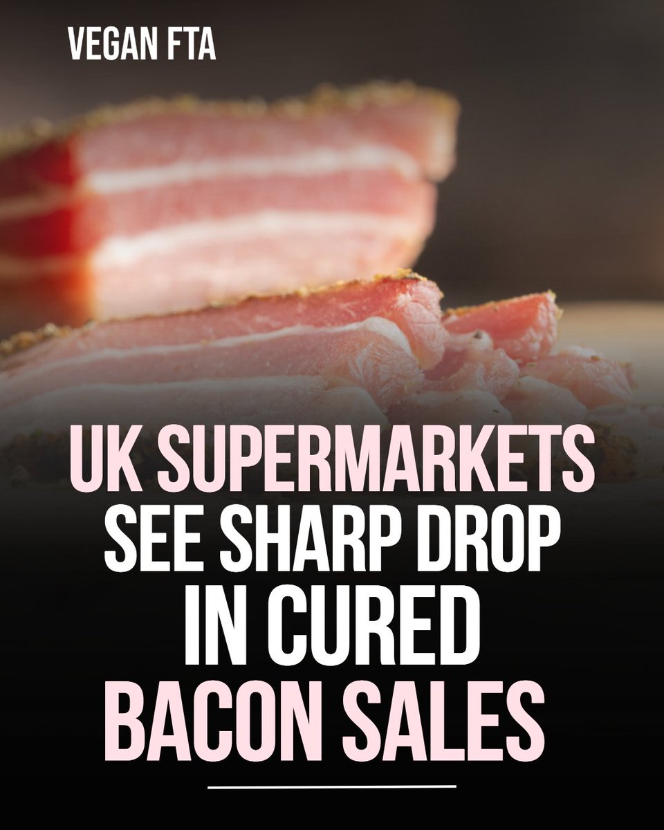 teamveganfta's tweet image. New retail figures show that demand for nitrite-cured bacon in UK supermarkets has fallen markedly as more shoppers try to avoid products linked to higher cancer risk. 🥓

👉 Find out more: f.mtr.cool/vkphvcmjqm

#bacon #pork #cancer