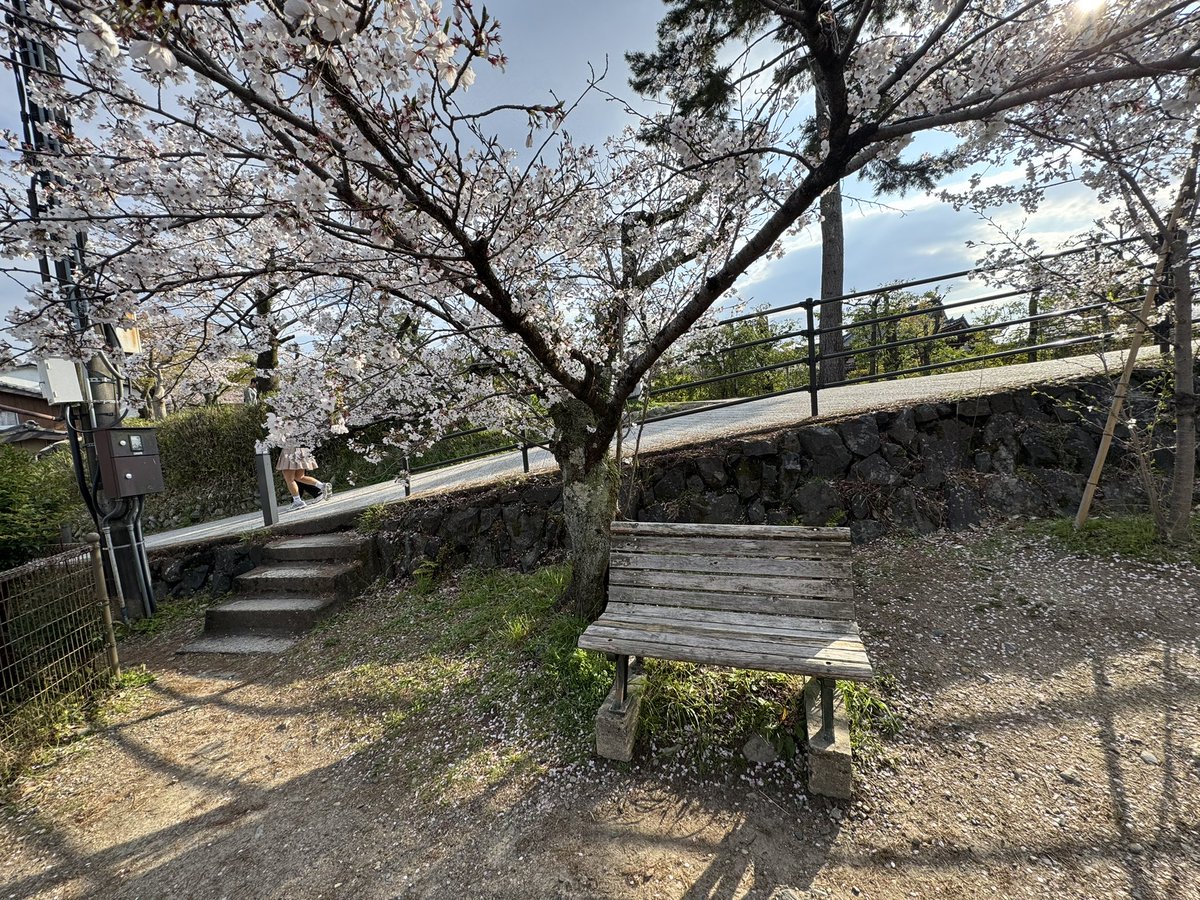 やりにげ 🔖️🛜️🎹️🧪️🪐️☕️ tweet media