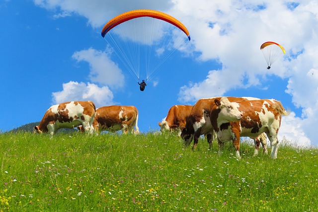 Wayne Martinez tweet media