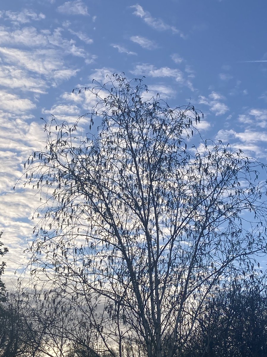 fran ca del tweet media