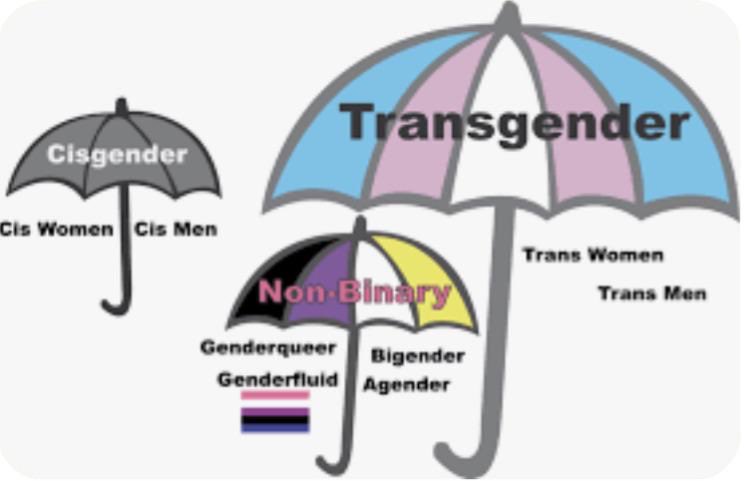 🅱️🇵🇸 tweet media