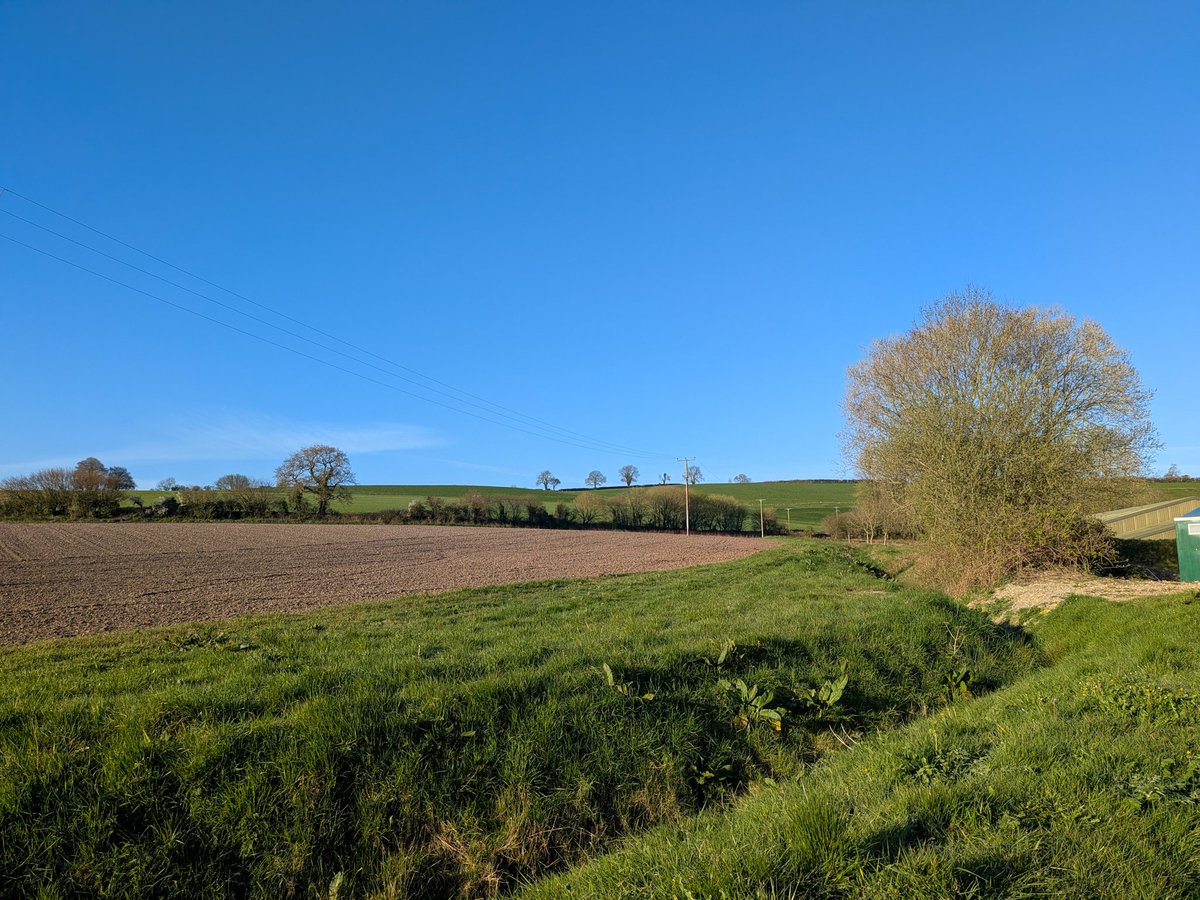 glynn_adams's tweet image. Lovely morning here in #somerset ☀️